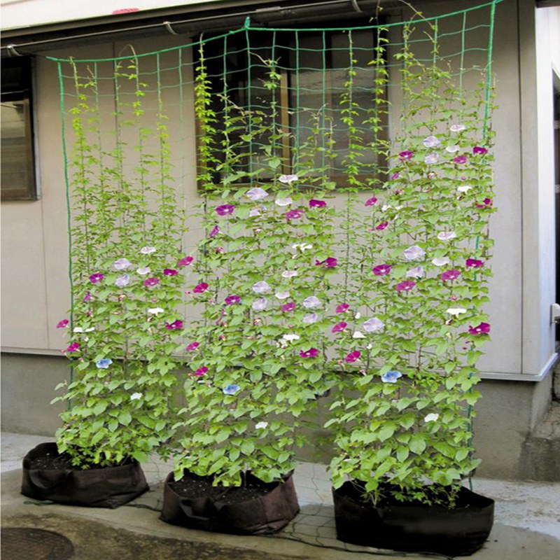 Garden Plants Climbing Net