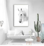 Nordic White Horse Paintings