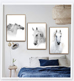 Nordic White Horse Paintings