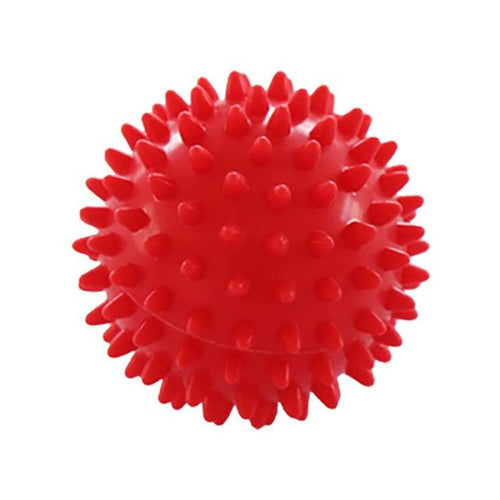 Spiky Physiotherapy Ball