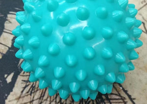 Spiky Physiotherapy Ball