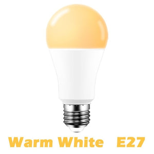 15W WiFi Smart Bulb