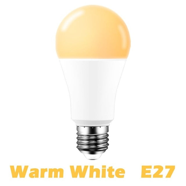 15W WiFi Smart Bulb