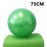 Sports and Yoga Ball