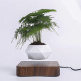 Magnetic Levitation Aerial Plants Pot