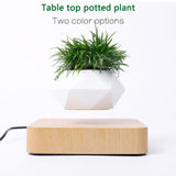 Magnetic Levitation Aerial Plants Pot