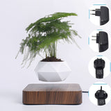 Magnetic Levitation Aerial Plants Pot